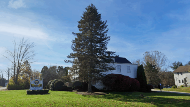 Brookfield-For-Web-1024×622