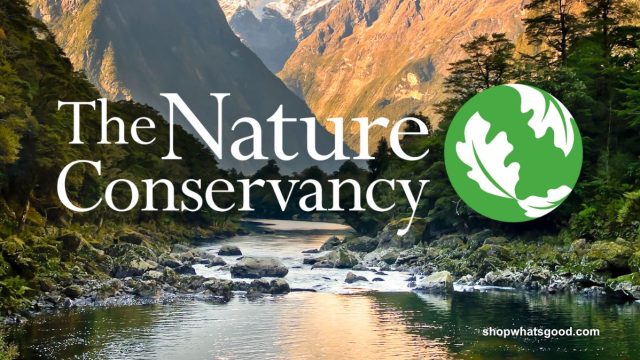 WHATSGOOD_NON-PROFIT_blogsized_NATURE_CONSERVANCY_1198_x_750_px_1_1198x